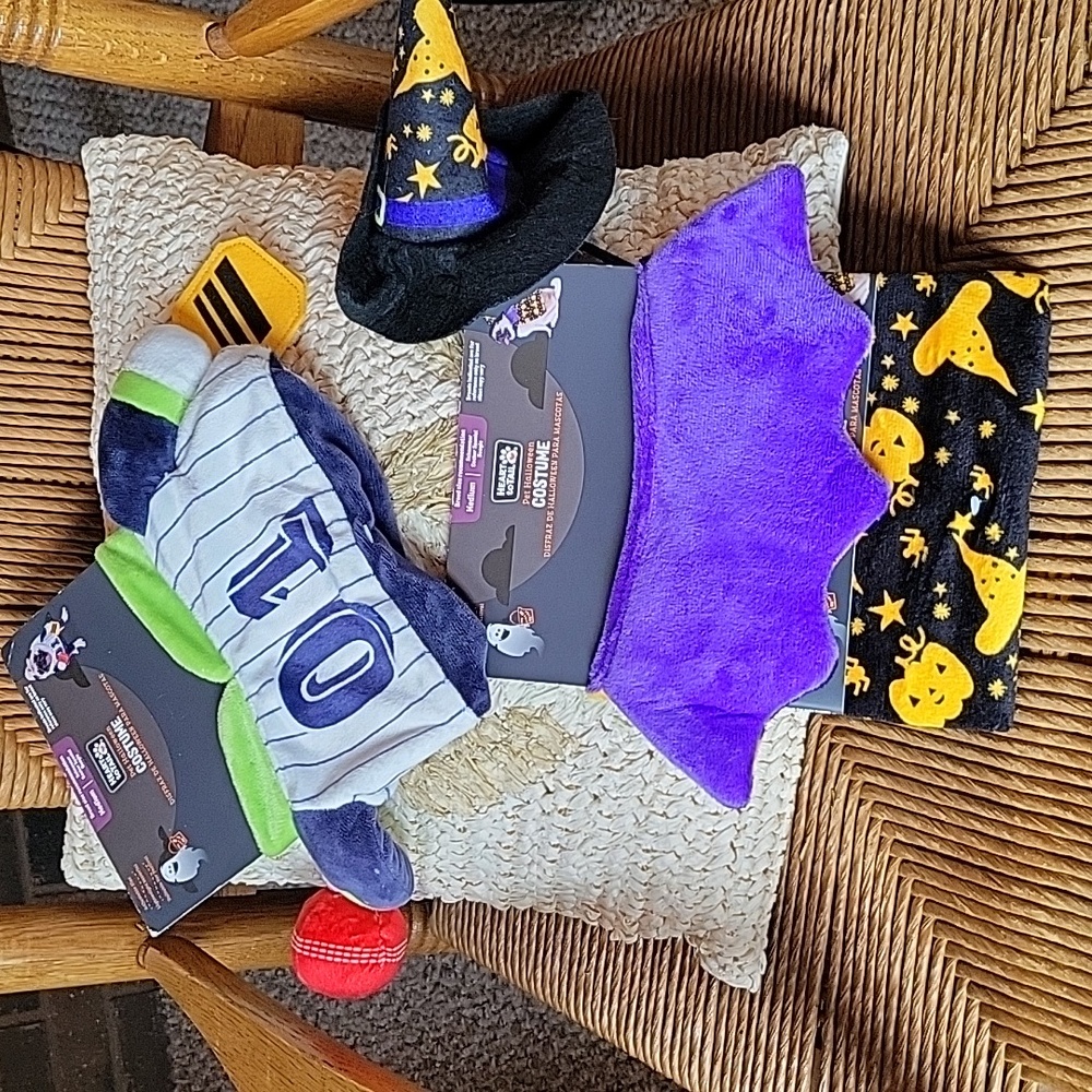 Heart to tail dog costumes, pickleball player and witch, set of 2